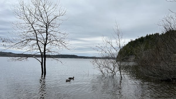 N.B. portal allows residents to access water quality data for lakes and rivers