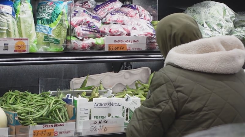 Could growing your own food be the answer to the high cost of groceries?