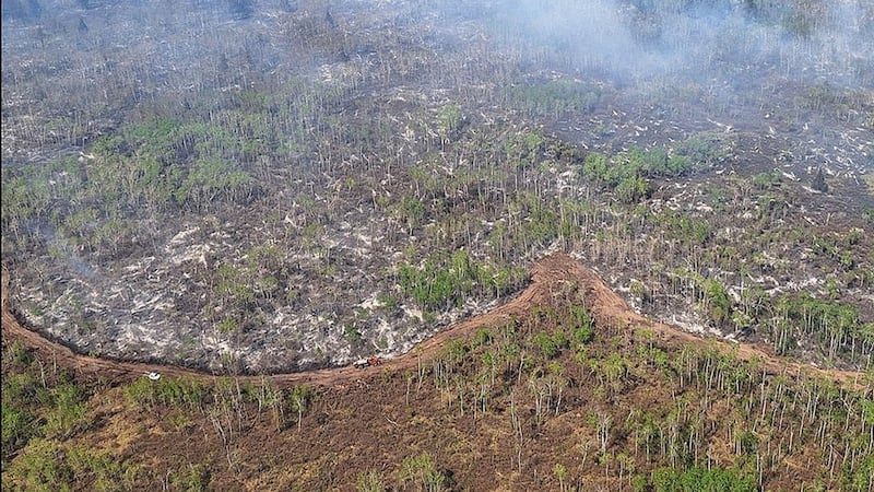 Evacuation order lifted for RMs impacted by Lobstick Fire