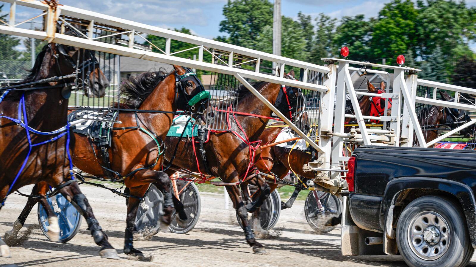 Clintonclan Racing Horse racing in Clinton ends for the year
