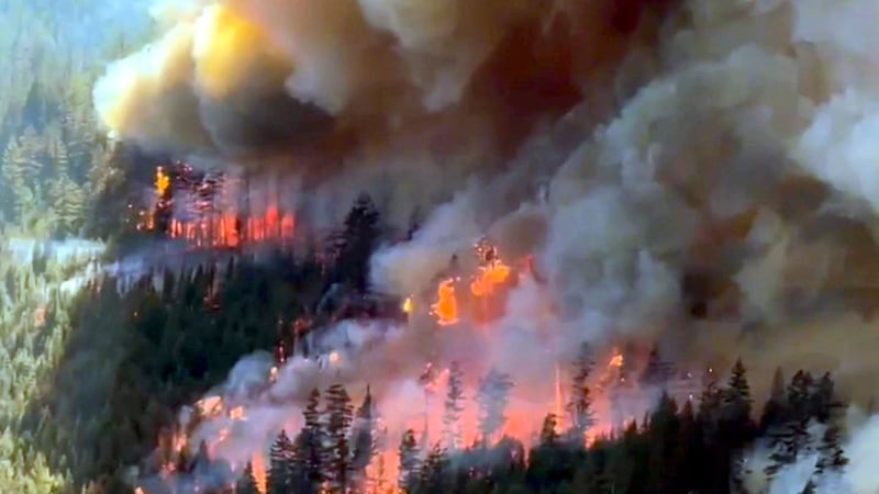Do Canada’s wildfire policies need improvement? Here’s what experts say