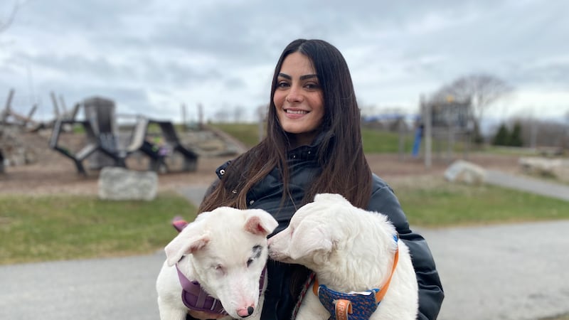 ‘They’re a lifelong commitment’: Blind and deaf puppies in search of a forever home