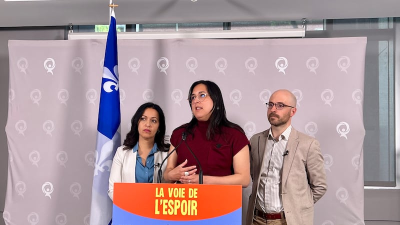 Québec solidaire proposing higher taxes on large fortunes and public grocery stores