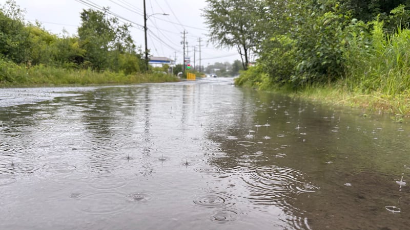 Environment Canada issue significant rainfall warning across southern Ontario including Waterloo Region