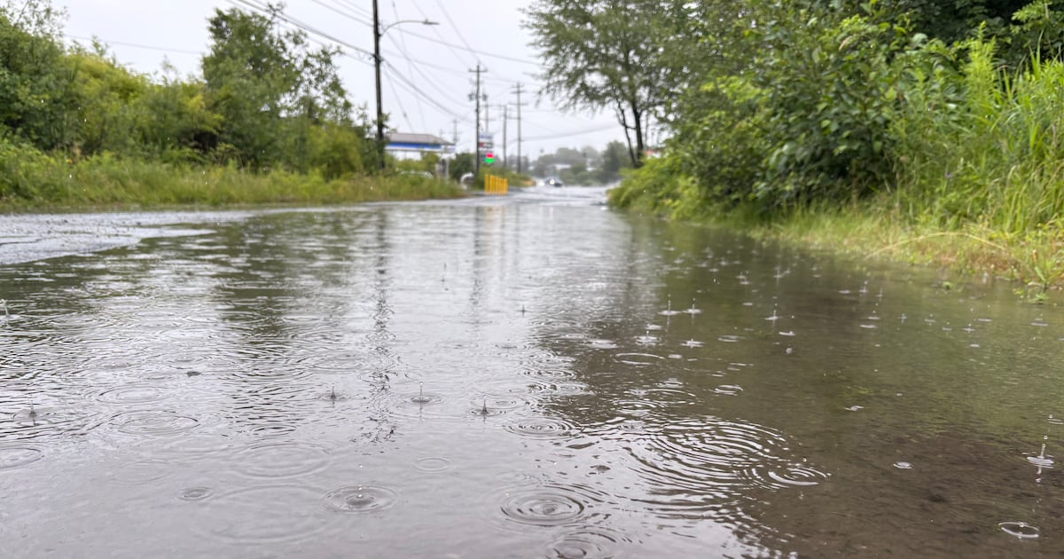 Photo: Ctvnews Rain pools on a road in the Halifax area on July 22, 2026. (Callum Smith/CTV News Atlantic)
