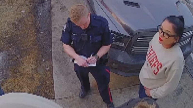 Deadly dog attack was ‘foreseeable’ and owner failed to protect, Crown argues as trial wraps up