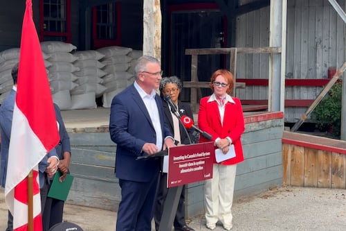 Federal government unleashes $1B funding blitz for agri-food sector, $150M allocated for export growth
