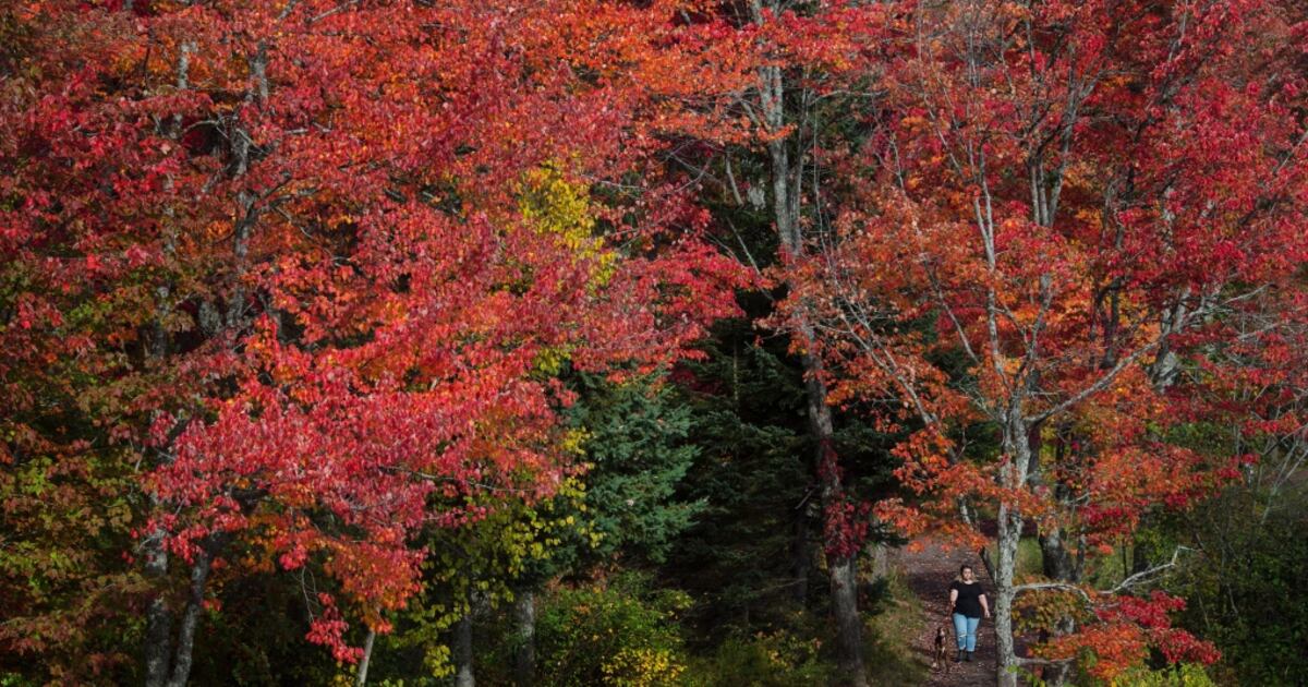 Predict First Fall Fantastic first week of fall weather; season predictions