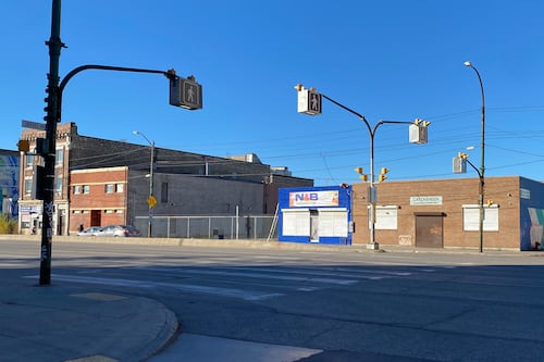 Winnipeg police investigating fatal crash involving a pedestrian