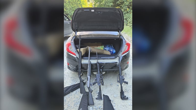 Police seize several guns from groups illegally shooting in Mission, B.C.