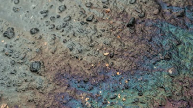 Fuel oil spill in Minden Hills: contaminated water