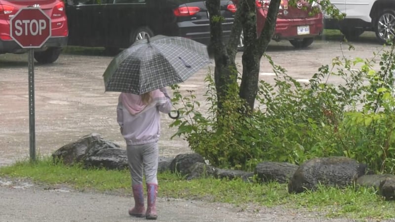 Environment Canada issues another alert for rain, here’s when we’ll see sun