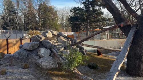 The Edmonton Valley Zoo announced a plan for the next 15 years. Nov. 24, 2025. (Sasha Pietramala/CTV News Edmonton)