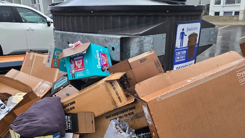 ‘We can’t live like this’: Residents demand garbage solution