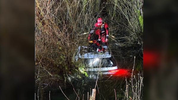 Squamish firefighters rescue 4 people, dog trapped in sinking vehicle