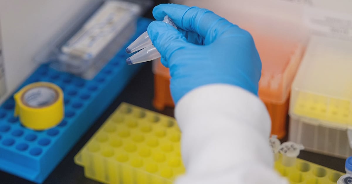 Calgary researchers develop promising immunotherapy for solid tumours