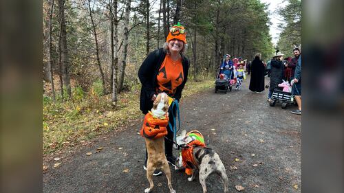A woman and her dogs are pictured dressed in jack-o-lantern costumes at the Gaetz Brook Greenway during the Halloween Trick-or-Treat Trail Walk in East Chezzetcook, N.S., on October 25, 2025. (Emma Convey / CTV Atlantic)