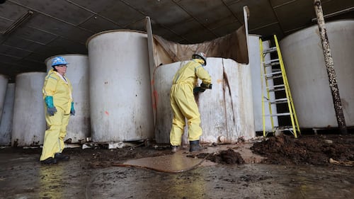 First load of rotting, decades-old fish sauce trucked away from abandoned N.L. plant