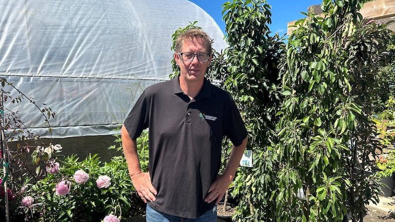 Regina greenhouse calls for faster repairs after access road closure