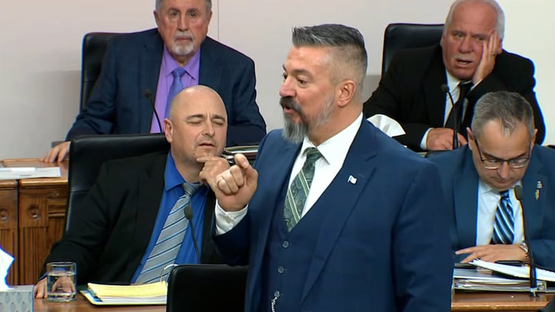 Heated debate, name-calling in N.L. politics puts bad behaviour in spotlight