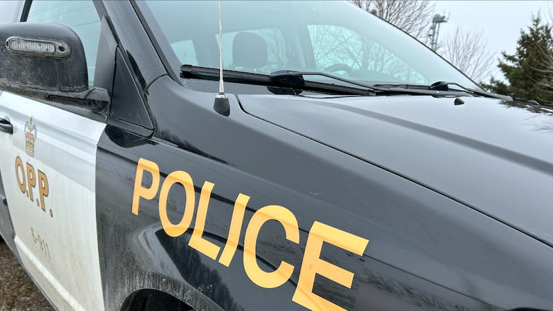 20-year-old man killed in crash with a moose: OPP