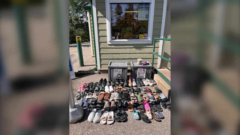 ‘They really like Birkenstocks’: Shoe-stealing foxes keep Sask. campers on their toes