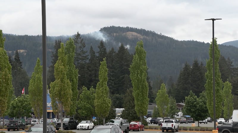 Wildfire near Port Alberni, B.C., forces emergency operations centre activation