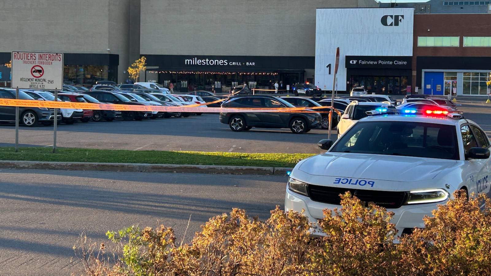 Fairview Windows Fairview Pointe Claire mall arrest: Man released