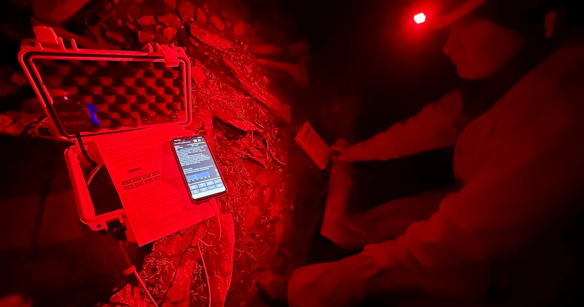 A member of the Alberta/BC Cave Rescue team uses a QDX-M radio in a handout photo of a Canmore cave rescue on Aug. 15, 2026.