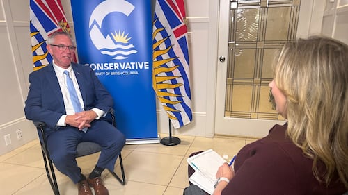Leader profile: B.C. Conservatives’ Lorne Doerkson says he’s ‘completely in the zone’