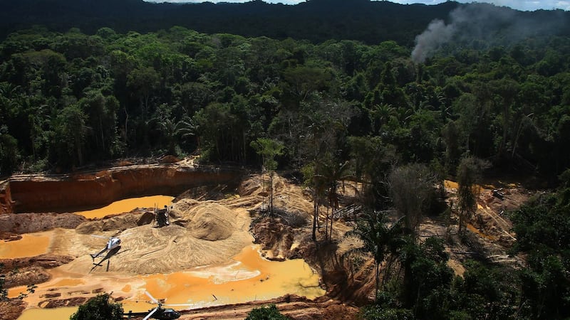 Indigenous Amazon groups urge the UN to curb organized crime, not militarize territories