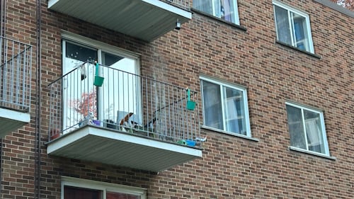 Man pleads guilty after woman injured by gunshot while 2 storeys above neighbour
