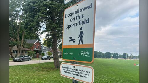 From sports field to ‘Spot’s field’: Guelph opens dozens of off-leash dog parks