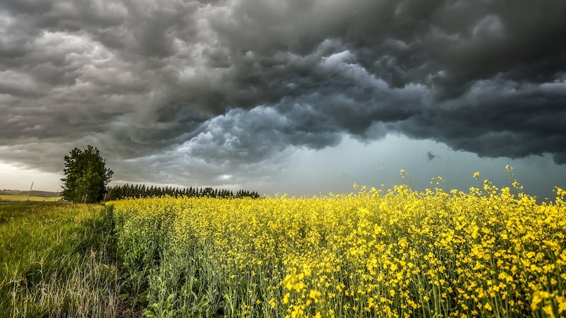 Alberta county cleaning up after damage and debris left behind by tornado