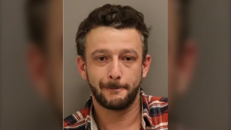 N.B. man wanted in N.S. found hiding in the woods after fleeing police: RCMP