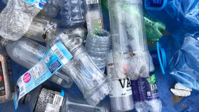 Plastic water bottle ban in Tofino, B.C., a first among Canadian municipalities
