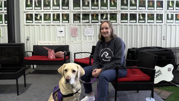 For the dogs: Easter egg hunt helps raise funds for National Service Dog organization