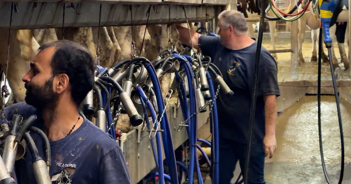 Ottawa area dairy farmers cautious of new trade deal