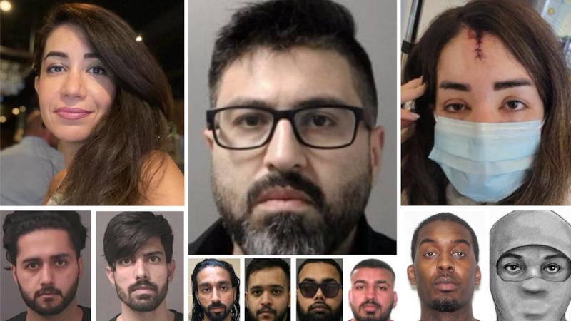 Mohamad Lilo beats murder charge, takes plea deal in Elnaz Hajtamiri kidnapping conspiracy