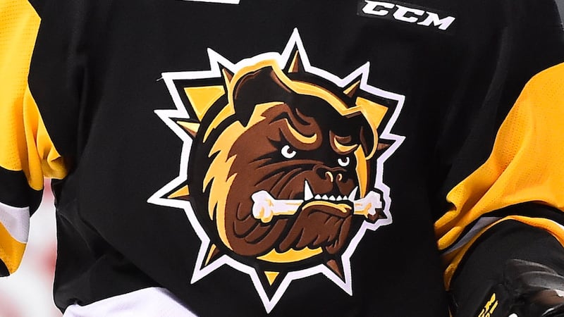 Brantford Bulldogs will face Barrie Colts in Eastern Conference final
