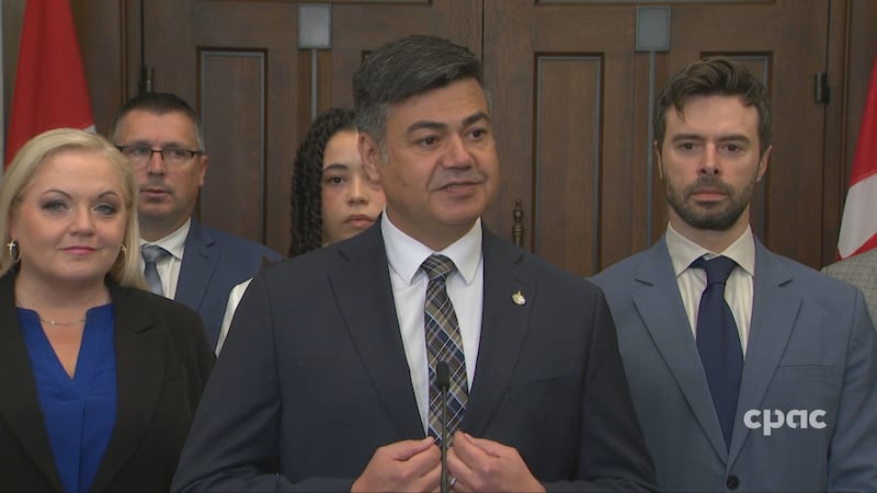 Conservative MP introduces magic mushroom treatment bill
