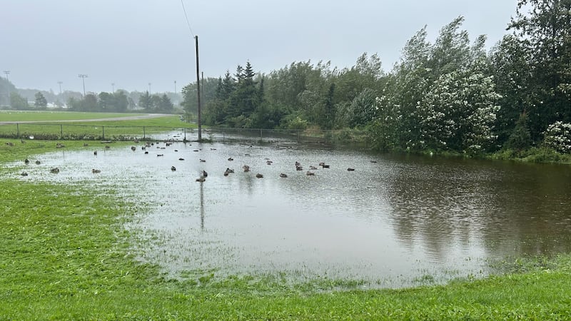 ‘Very tragic’: Woman’s death sends shock waves across Cape Breton amid major floods