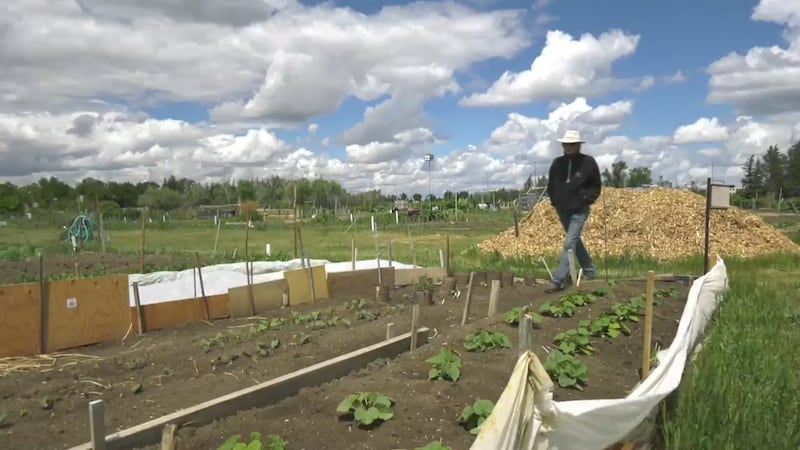 Gardeners near U of R face eviction as redevelopment pondered