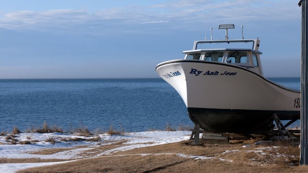 Boat builders brace for rough waters as Trump’s trade war rumbles Maritimes