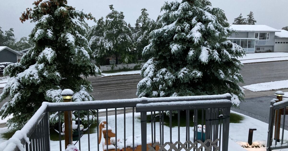 'June-uary' brings snow in B.C., Alberta while Ontario, Quebec battle ...