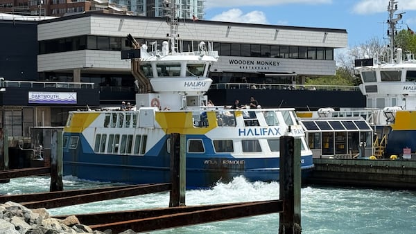 Free service as ‘goodwill’ gesture for ferry disruptions? Halifax council votes no