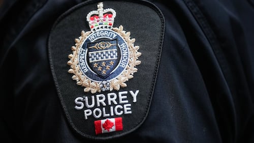 Outbuilding on Surrey property damaged by gunfire, police say