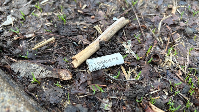 ‘We can see the harms’: Why health experts say Canada should consider the U.K.’s smoking ban