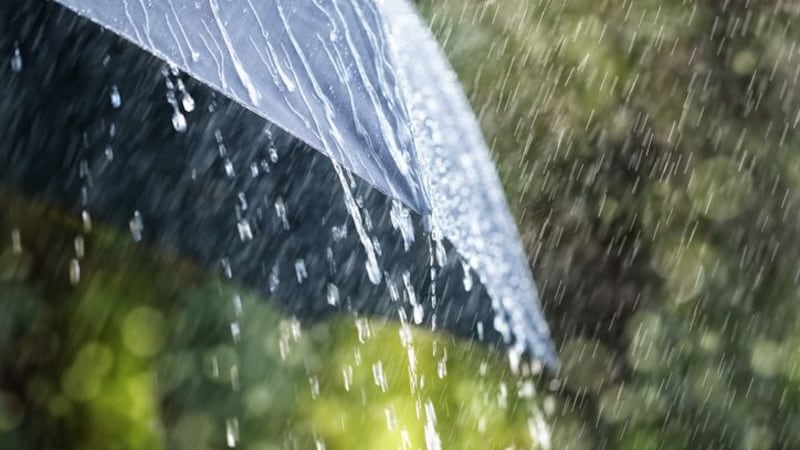 Weather alerts issued in parts of N.B., significant rainfall expected until Thursday