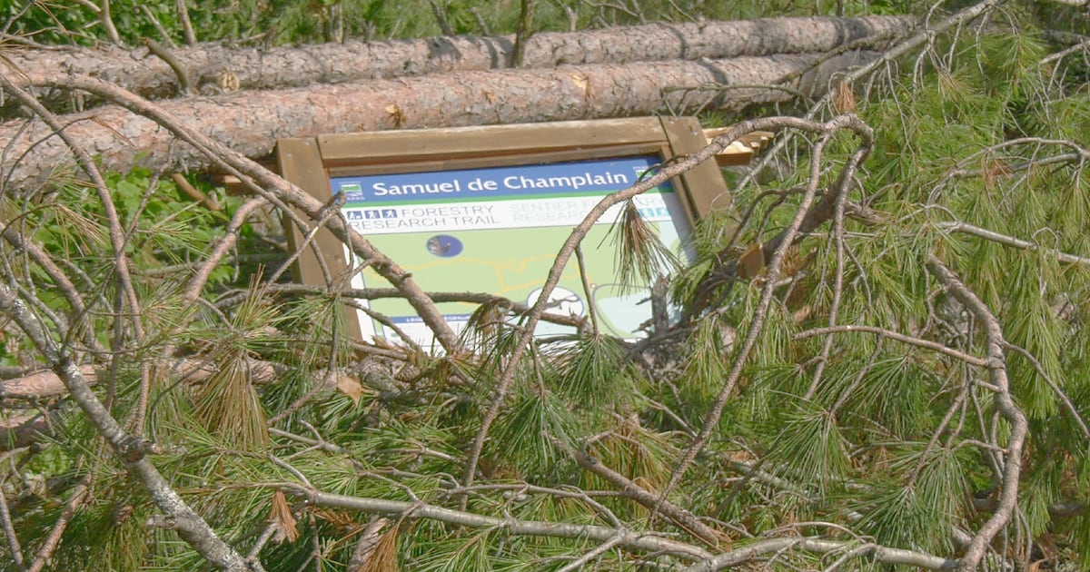 Samuel de Champlain Provincial Park damage – CTVNews